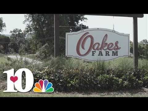 Oakes Farm in Corryton opens for fall season