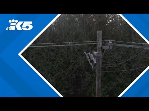 Puget Sound Energy to upgrade electrical grid in Skagit County