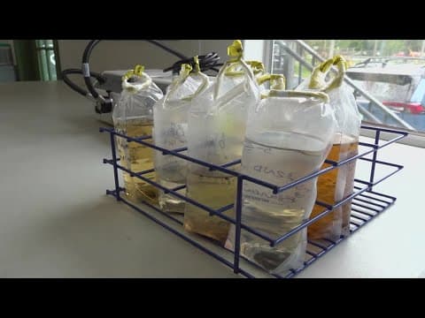 Mosquito-borne illness on the rise in the U.S.