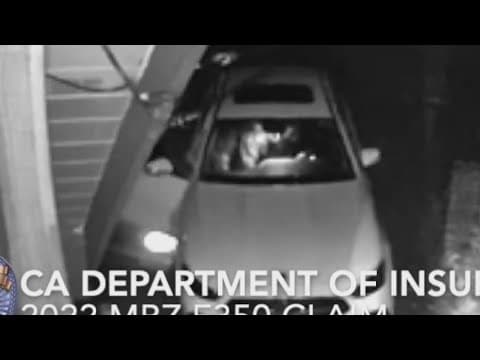 Suspects used bear costume to fake attacks on cars in insurance scam, officials say