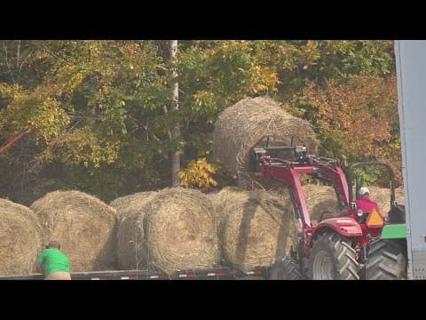 Farm recovery centers offer Helen-impacted farmers support, advice for next steps