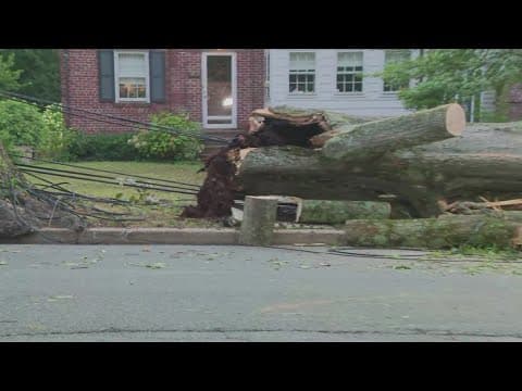 DMV storm aftermath: fallen trees and widespread power outages