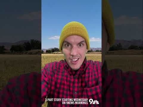 How much water does agriculture use from the Colorado River?