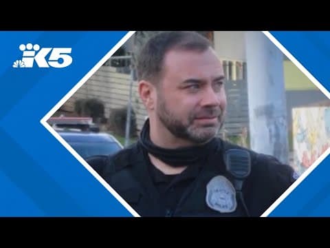 Seattle officer Daniel Auderer fired