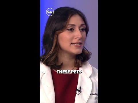 Why adopt a shelter pet?