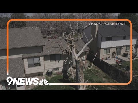 Tree topples on top of veteran's home, volunteers help him rebuild