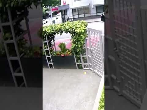 New video shows unprovoked shooting in Belltown that killed pregnant mother #shorts