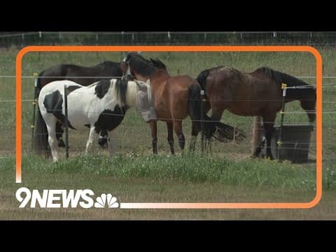Strong microburst tears off roof at Longmont equine therapy nonprofit