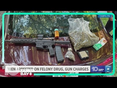 Tampa teen accused of having gun, marijuana in car during traffic stop