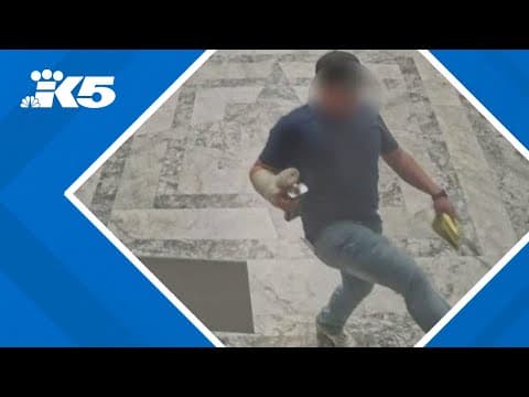 Vandal damages 'several facilities and historical artifacts' at WA State Capitol