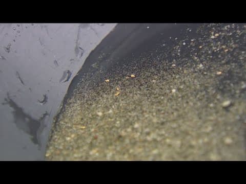 Visitors gather at Eagle Mining Company as gold prices hit a record high