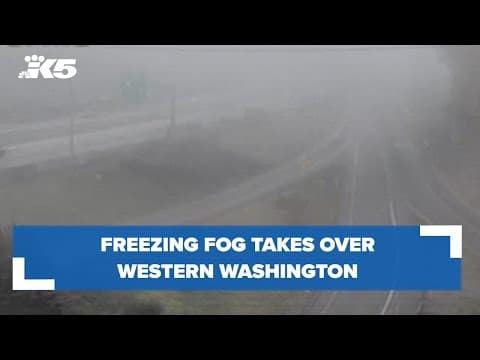 Freezing fog besets the Puget Sound region