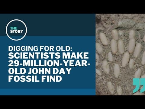 Researchers make one-of-a-kind fossil discovery in eastern Oregon | Digging for Old