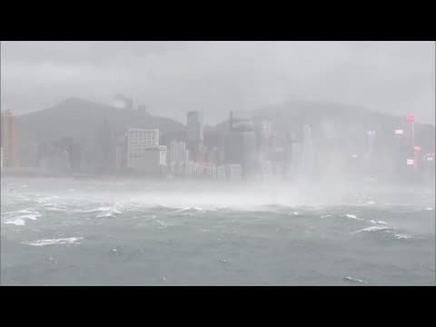 Typhoon Wipha topples trees and causes major flight disruptions in Hong Kong and southern China