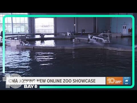 Clearwater Marine Aquarium joins new online zoo showcase