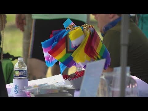 Zionsville hosts town's first pride festival