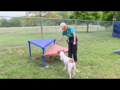 Young adults find jobs, training through Indy Parks Corps