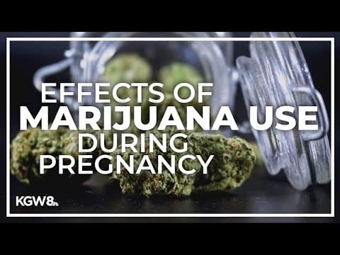Cannabis use during pregnancy could impact baby's brain development, study shows