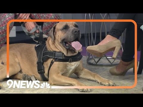 Zeus wants to reign over your heart like his namesake does at Mount Olympus