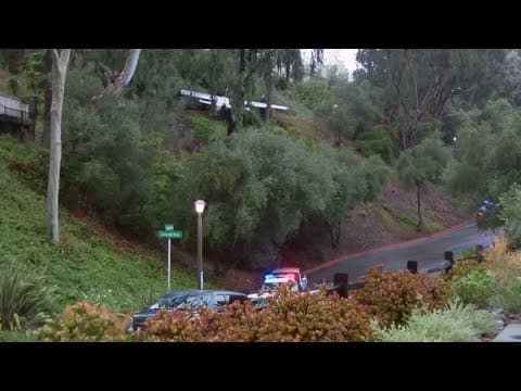 Aerials above where a Cessna plane crashed into La Jolla hillside, killing pilot
