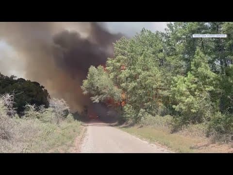 Harris County to vote on putting burn ban in place