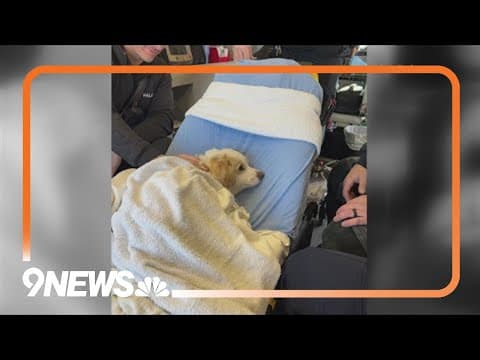 2 dogs fall through ice at Aurora park