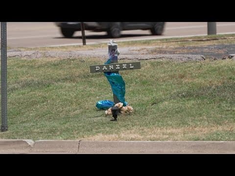 Police looking for 'person of interest' in fatal hit-and-run crash in Arlington