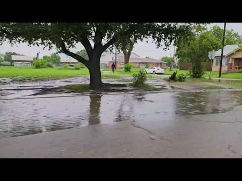 Storm damage issue prompts flooding concerns in South Dallas