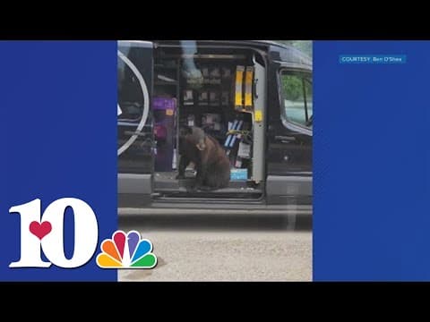 Bear caught on camera exploring tech van in Gatlinburg