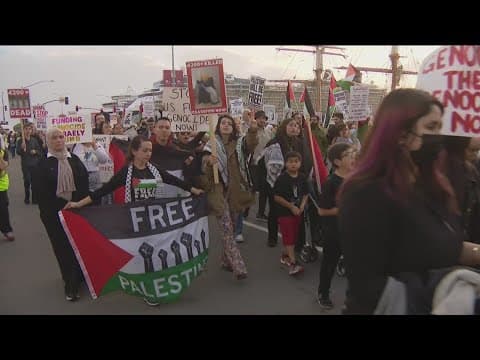 Pro-Palestine supporters gather Downtown on Black Friday