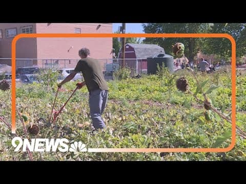 Denver school district growing food for students