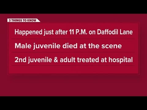 Youth killed in Waggaman triple shooting, JPSO says 2 others hurt