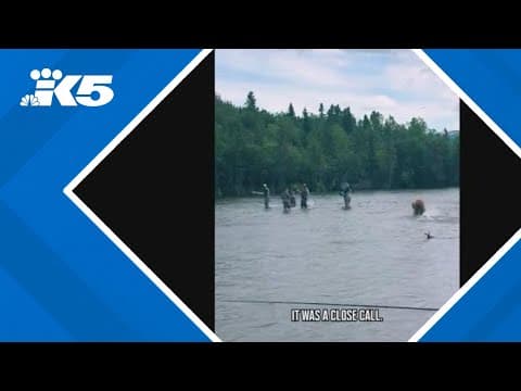 Kraken mascot has close call with wild bear