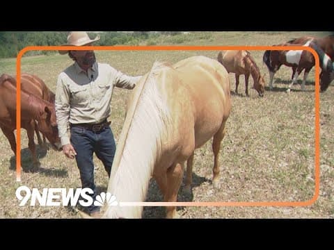 50 horses evacuated from ranch near Alexander Mountain Fire