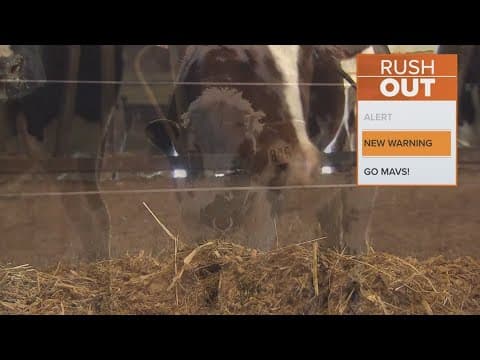 The CDC reccomends Drs continue testing for flu