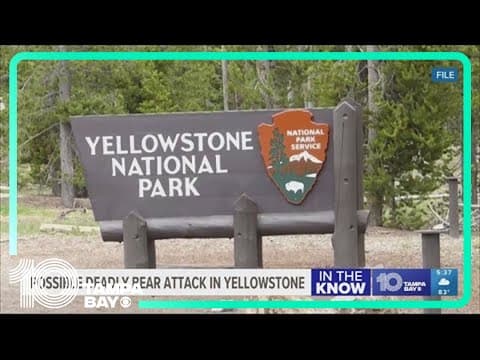Grizzly bear kills jogger near Yellowstone National Park