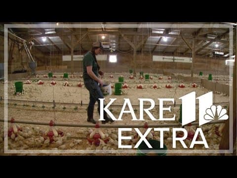 After bird flu wiped out her farm, a 6th-generation farmer found a way forward