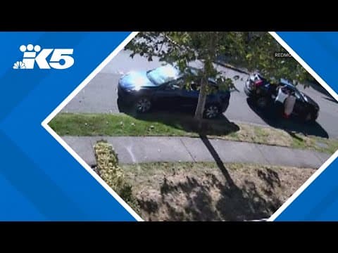 Bellevue, Redmond police investigating growing trend in jewelry thefts