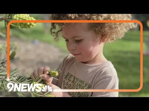 'He was always a helper' | Denver 3-year-old dies from bacterial meningitis