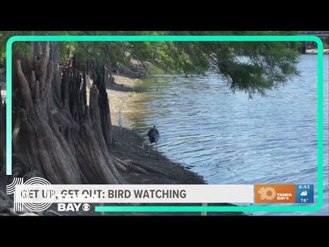 Get up, get out: Bird watching