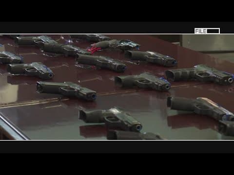 Mike Perlstein Investigation: Conceal carry