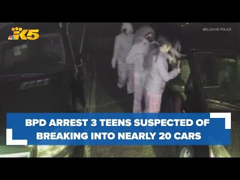 Bellevue police arrest 3 teens suspected of breaking into nearly 20 Lake Hills cars