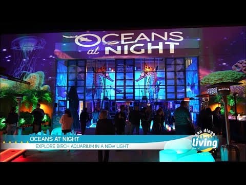 Oceans at Night Debuts at the Birch Aquarium