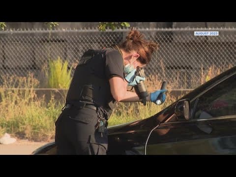 Texas leads nation in hot car deaths involving children