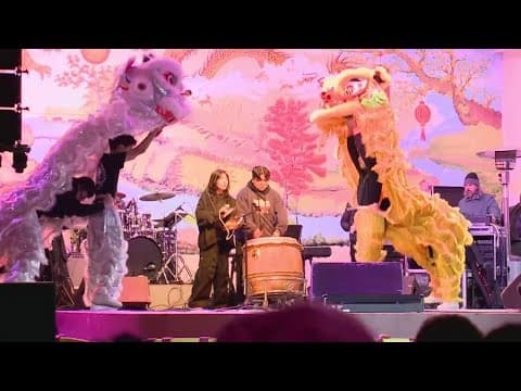 Tet Fest begins Friday in New Orleans