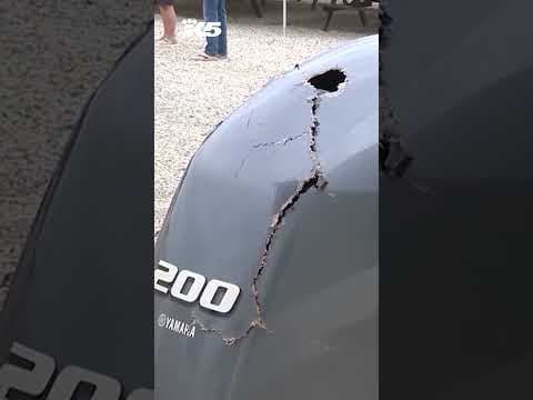 Breaching whale capsizes boat in New Hampshire