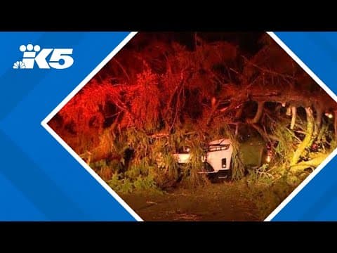 Tree collapses on car, power outages reported as powerful winds hit western Washington