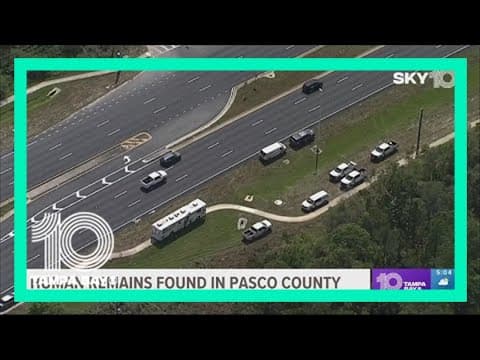 Deputies: Human remains found in Pasco County woods