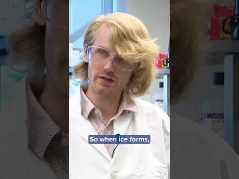 Could we store living things on the moon? Scientists are taking steps