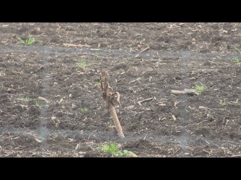 Fort Worth water utility to take over operations at biosolids plant blamed for foul smell